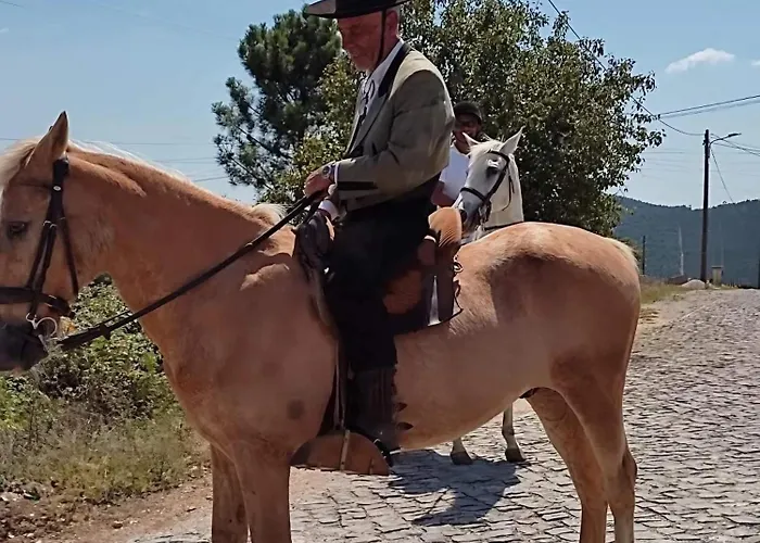Arieira Escapadinha Exclusiva Na Natureza Aguda (Leiria)