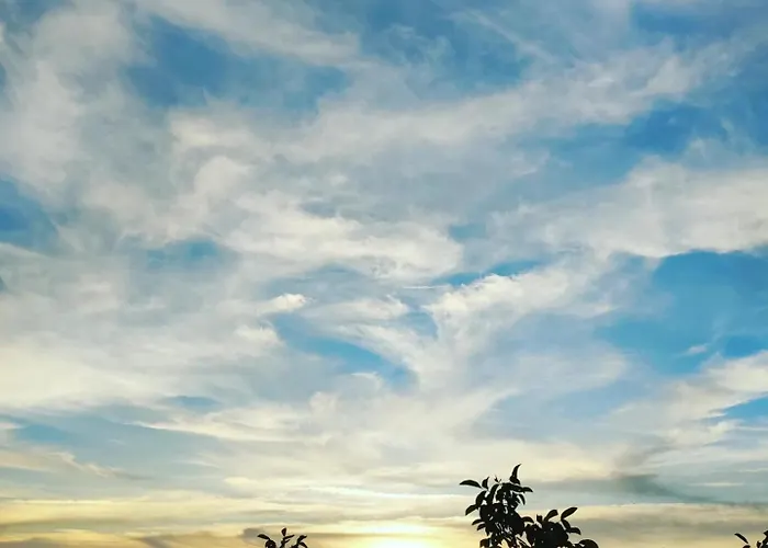 ゲストハウス Travessa Da Arieira Aguda (Leiria)