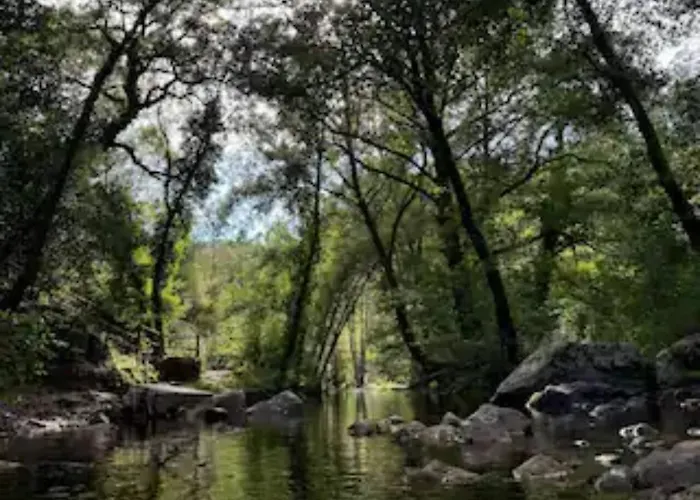 Arieira Escapadinha Exclusiva Na Natureza